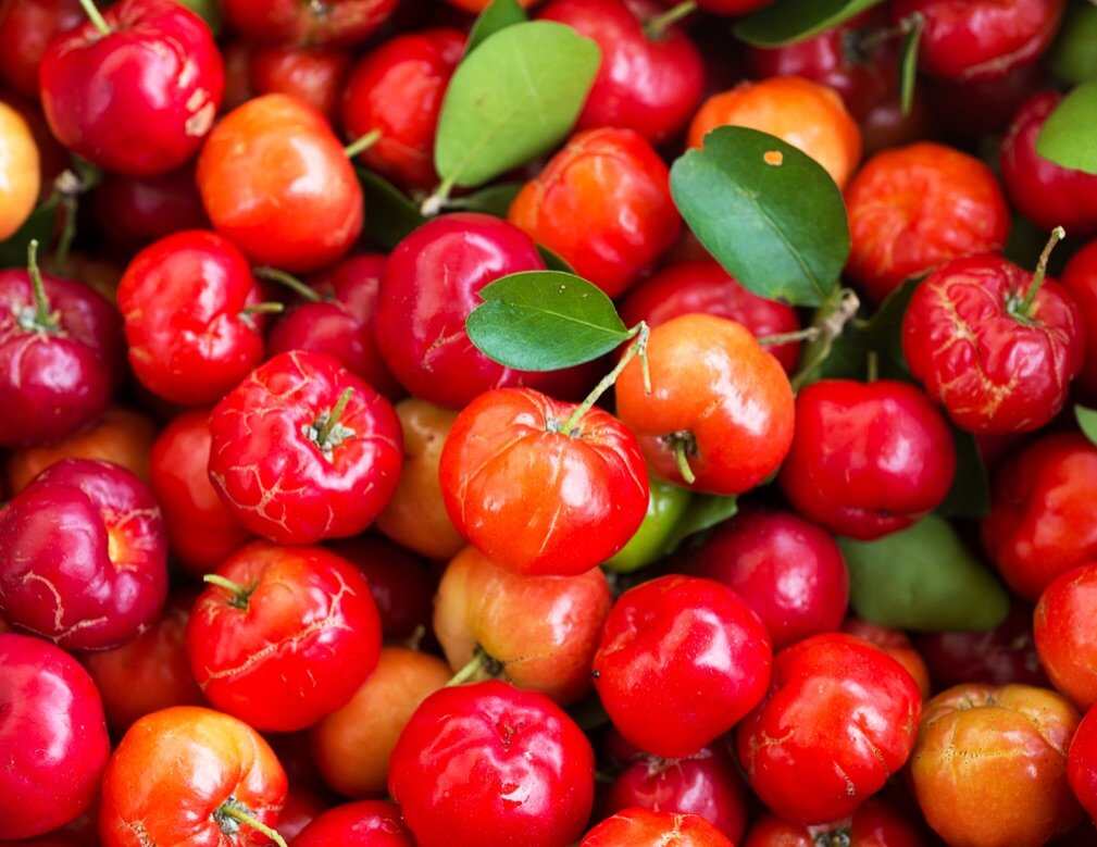 Acerola